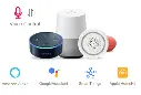 assistant vocal.webp