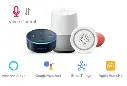 assistant vocal.webp