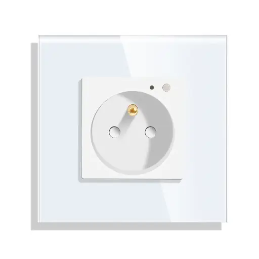 Prises de courant connectée wifi compatible Google home, Amazon Alexa, Tuya Smart life