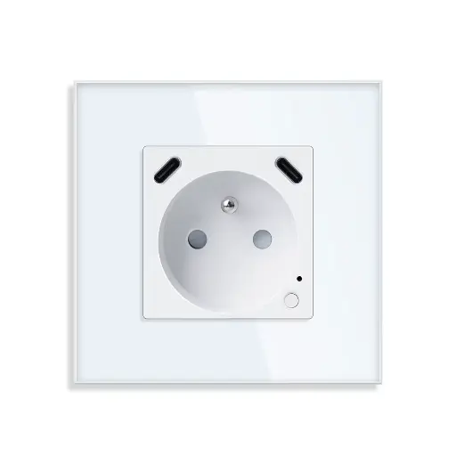 Prises de courant usb-c usb-c intelligent connectée wifi compatible Google home, Amazon Alexa, Tuya Smart life 